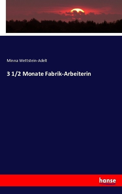3 1/2 Monate Fabrik-Arbeiterin - Minna Wettstein-Adelt  Kartoniert (TB)