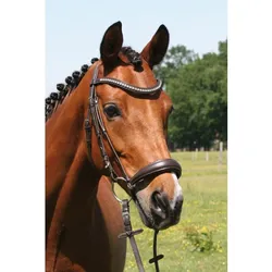 Hans Melzer Horse Equiqment Hans Melzer Trense Calgary hannoversches Reithalfter braun/silber WB (Warmblut)