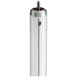 Philips TL-X XL 40W/33-640 (26137340)