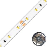 EVN Lichttechnik LED-Strip ICSB6724302802