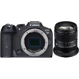 Canon EOS R7 + RF 50 mm F1,8 STM + Objektivadapter EF-EOS R