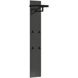 DIETER KNOLL Garderobenpaneel, Schwarz, Anthrazit, Metall, 35x165x25 cm, Aufhängemöglichkeit, Kleiderstange, Garderobe, Garderobenpaneele, Garderobenpaneele