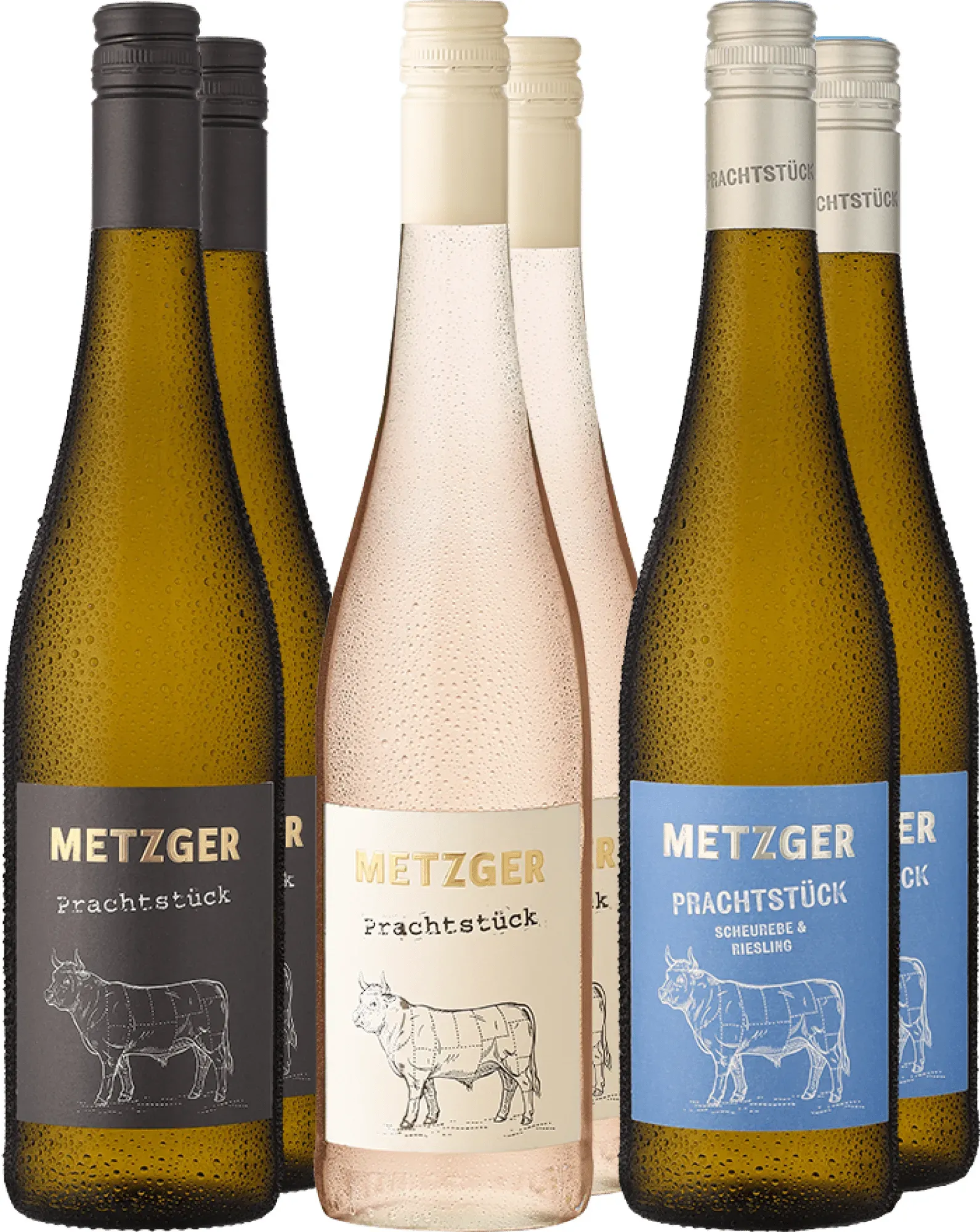 6er-Probierpaket »Weingut Metzger in Weiß«