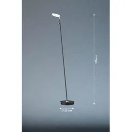 Fischer & Honsel LED Standlampe Dent Schwarz 135cm