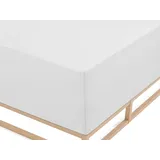 biberna 0077640 Jersey-Elastic-Boxspring 140 x 200 - 160 x 220 cm weiß