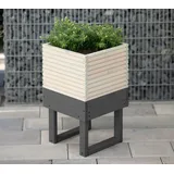 Westmann Pflanzenkübel Kathleen 33 x 33 x 54 cm Grau