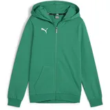 Puma teamGOAL Casuals Kapuzenjacke Jungen 05 sport green/white 164
