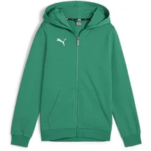 Puma teamGOAL Casuals Kapuzenjacke Jungen 05 sport green/white 164
