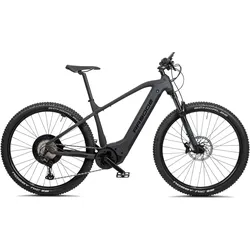 E-Mountainbike 29 Zoll RR900e Bosch Performance CX schwarz matt EINHEITSFARBE L