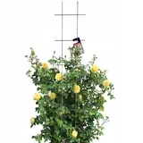 Kadax Rankgitter 30 x 150 cm Schwarz