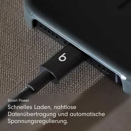 Apple Beats USB-A zu USB-C gewebtes Kabel 1.5 m Bolt Black (2-Pack)