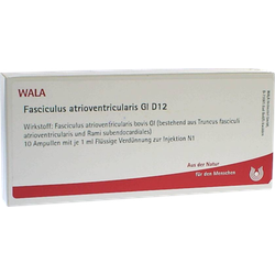 Fasciculus atrioventricularis GL D 12 Ampullen 10X1 ml