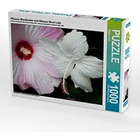 Calvendo Hibiscus Moscheutos und Hibiscus Swan Lake 1000 Teile