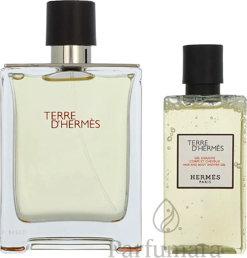 Hermes Terre D'Hermes Geschenkset Eau de Toilette 100 ml / Shower Gel 80 ml 180 ml