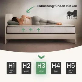 Akord 7-Zonen Taschenfederkernmatratze 140 x 190 cm H3