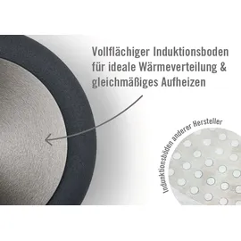 WOLL Wok WOLL MADE IN GERMANY "Eco Logic QXR", schwarz, H:10cm Ø:32cm, Pfannen, Wok