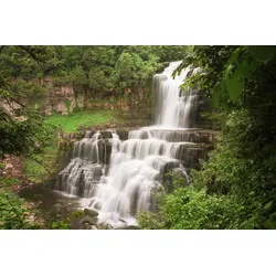 Fototapete PAPERMOON "Wasserfall im Wald", bunt, B:5,00m L:2,80m, Vlies, Tapeten