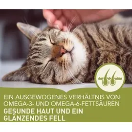 Acana Grasslands 1,8 kg