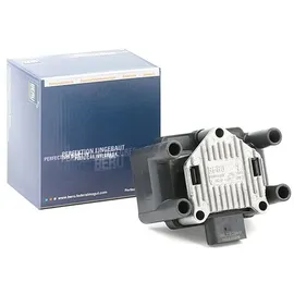 BorgWarner (Beru) Beru Zündspule