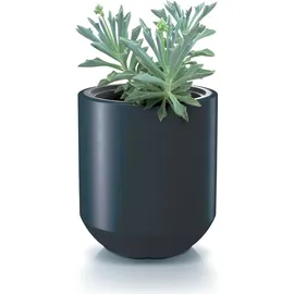 Prosperplast Heos 39 x 39 x 44 cm Anthrazit