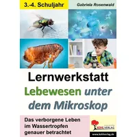 Kohl Verlag Lernwerkstatt Lebewesen unter dem Mikroskop
