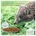 wildlife home Igelfutter