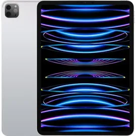 Apple iPad Pro 11" (4. Generation 2022) 1 TB Wi-Fi + Cellular silber