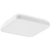 RZB LED-Wand-u. Deckenleuchte 312436.002.1.76