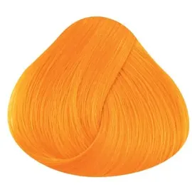 La Riche Directions apricot 88 ml