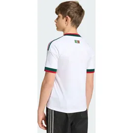 adidas Mexiko Auswärtstrikot 2026 Kinder Gr. 164