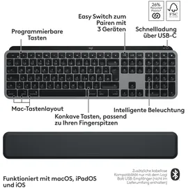 Logitech MX Keys S Combo für Mac DE