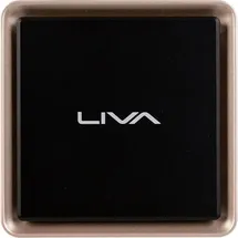 Elitegroup ECS LIVA Q3 Plus V1605 (AMD Ryzen Embedded V1605B, 8GB RAM, 128GB Flash (95-677-MZ6A04)