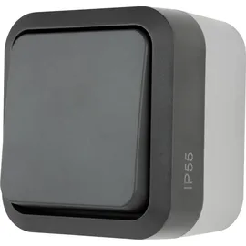 REV Ritter REV Komplett Taster AquaStorm Hellgrau, Schwarz 0004310400 1St.