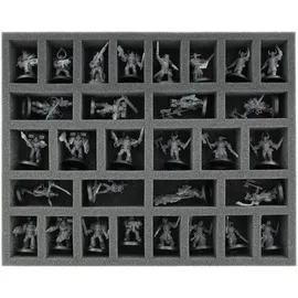 FELDHERR Lagerbox DSLB310 für Nurgle-Miniaturen
