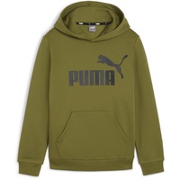 Puma Jungen ESS Big Logo Hoodie FL B Sweat