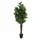 vidaXL Feigenbaum Künstlich 96 Blätter 80 cm Grün