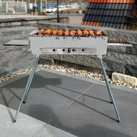 Grillpeter Mangal Astana mit Drehspießregler 11 Spieße 230V Alumotor