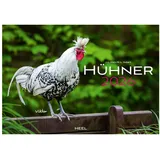HEEL VERLAG Hühner Kalender 2026