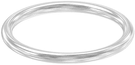 Ring / Außen-Ø: 120 mm / Materialstärke: 10 mm / V2A - 120 mm