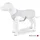 Watchout Kühlweste Hundezubehör grau Größe M 40-45 cm