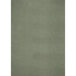 Fellteppich Loft Grün ca. 240x340cm