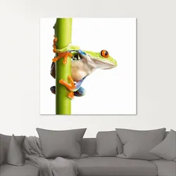 Artland Glasbild »Frosch umfasst einen Pflanzenstengel«, Wassertiere, (1 St.) Artland Farbe Bild(er): weiß