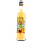 Waikiki Batida de Pina Colada Fertigcocktail / Likör, 0,7L, Alk. 16% Vol.