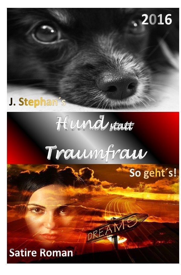 Hund Statt Traumfrau - J. Stephan  Kartoniert (TB)
