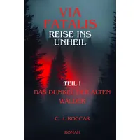 Epubli Via Fatalis Reise ins Unheil: