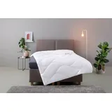 MY HOME Microfaserbettdecke Fantasy, Bettdecke 135x200 cm, 155x220 cm, 200x200 cm, 200x220 cm, Füllung: aus recycelten Polyester, Bezug: Polyester oder ökologisches Polyester oder Baumwolle (ECO), Bettdecken, in 3 Bezugsqualitäten für Sommer, Winter weiß