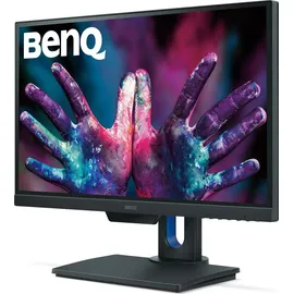 BenQ PD2500Q 25"