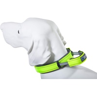 Armored Tech Dog Control Halsband mit integrierter Kurzleine (S - Halsumfang 33-38 cm, neon grün)