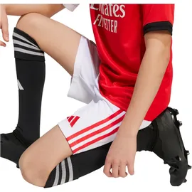 adidas Benfica Lissabon Heimshorts 2025/26 weiß Kinder Gr. 152