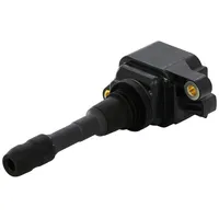 BorgWarner (Beru) (BERU) Zündspule